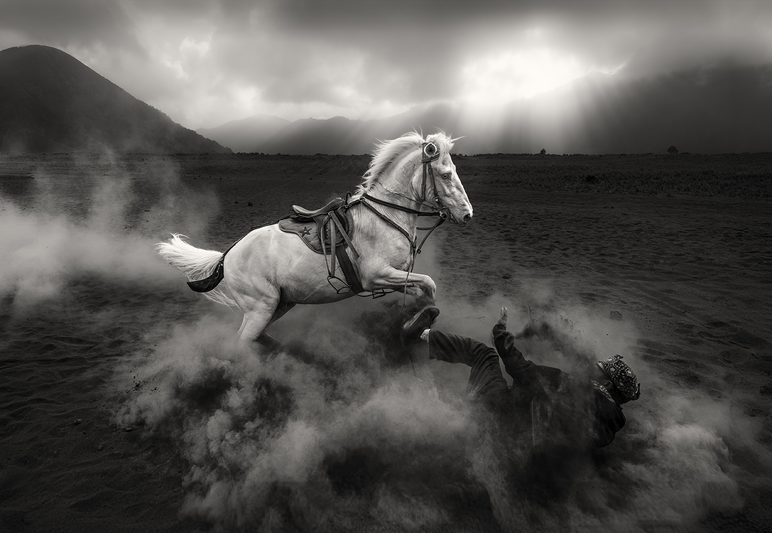 Mohammed Muhtasib (Saudi Arabia) Angry Horse